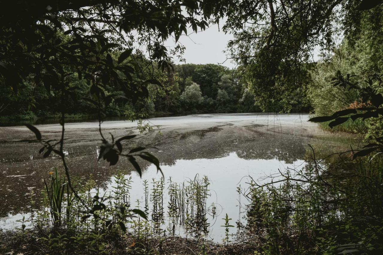 Boshuisje Rekem - Topo Ланакен Экстерьер фото